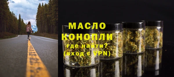 индика Бугульма