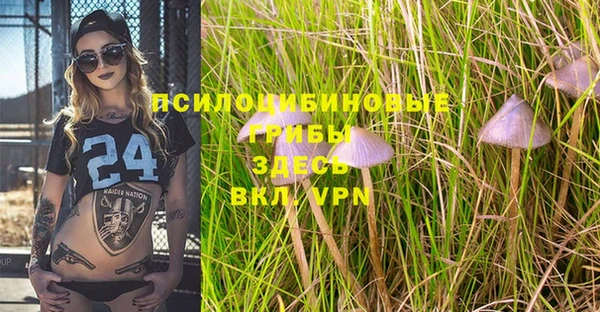 MDMA Premium VHQ Богородицк