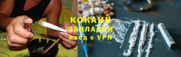 бошки Бронницы