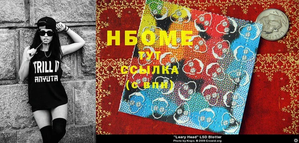 прущий лед Богданович