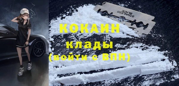 бошки Бронницы