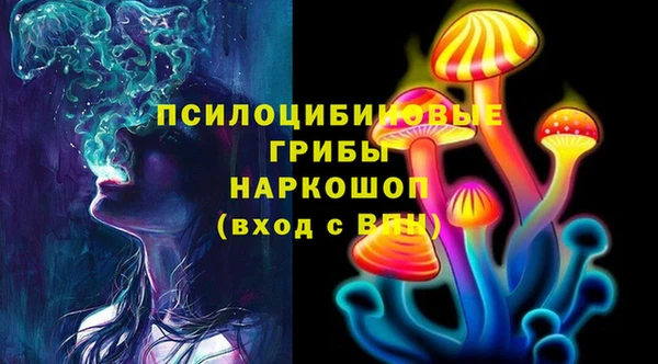 стафф Богородск