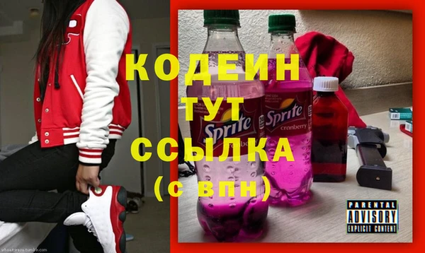 прущий лед Богданович