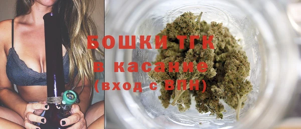 прущий лед Богданович