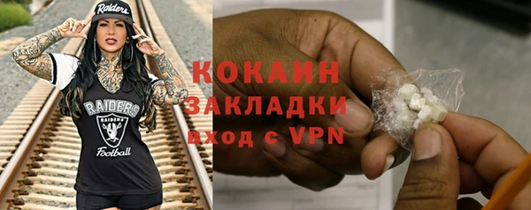 бошки Бронницы