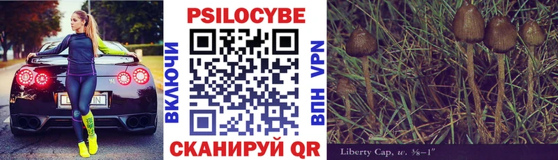 Псилоцибиновые грибы Magic Shrooms  MEGA ТОР  Верхняя Тура  где найти наркотики 